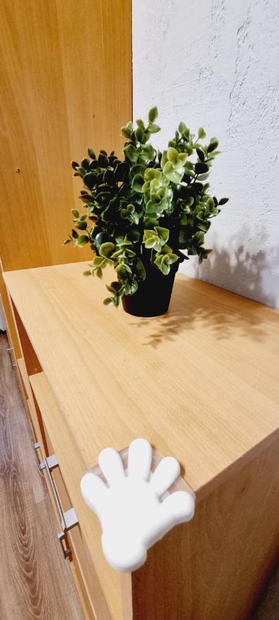 V311 Apartment Ryga Zewnętrze zdjęcie